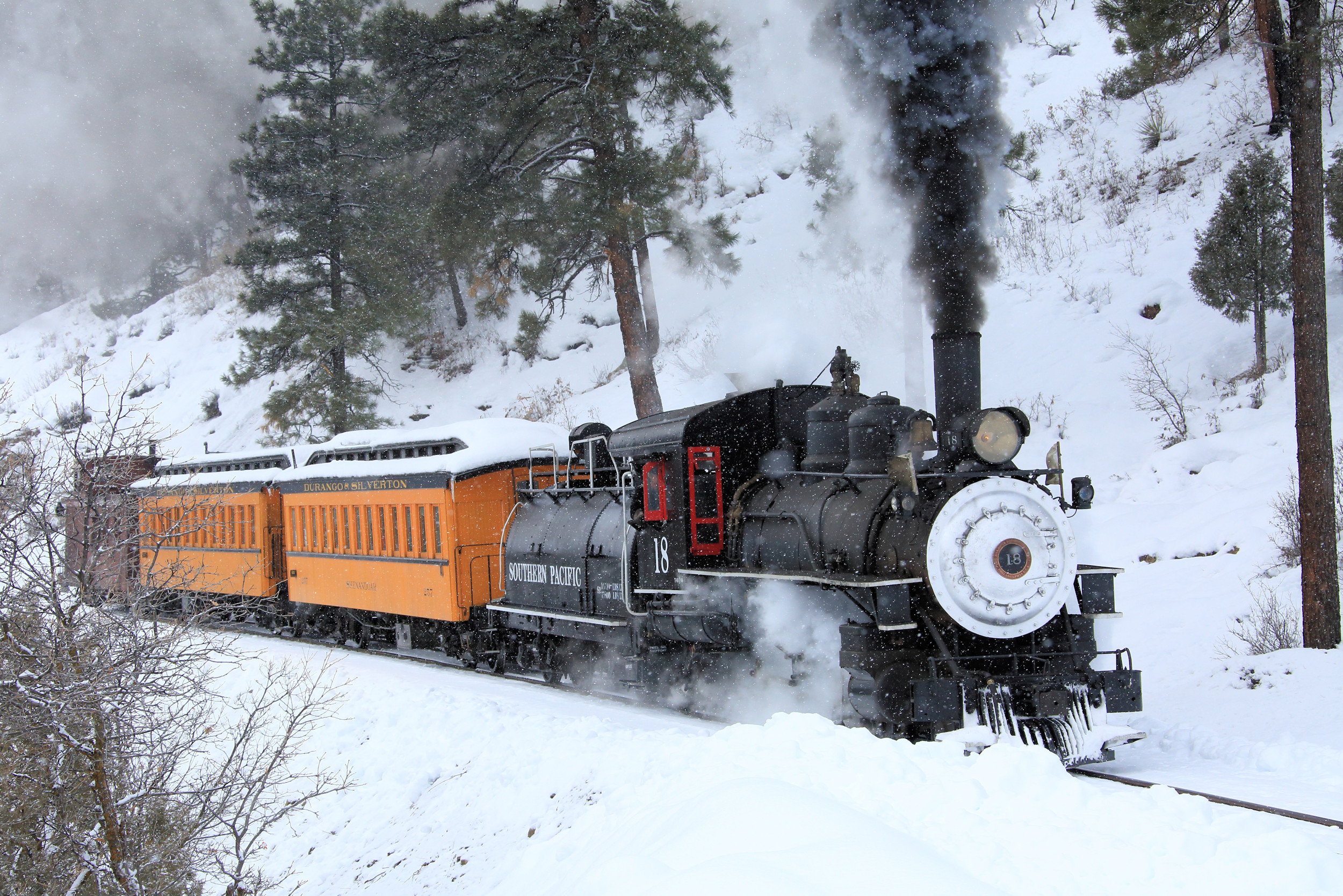 Southern Pacific #18 Photo Charter