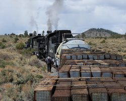 Reaching the top of Whiplash, we again came to a stop when somebody reported smoke from a different journal box - this one back on the parlor car. I took the opportunity to wander forward and get a shot of our power and freight.