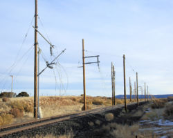 Downed overhead near the AZ 98 road crossing.