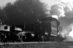 Probably not a lot different from a lot of mornings in Skookum's working life - going to work through the morning fog with a cut of flat cars.