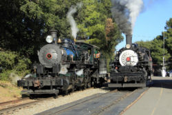 Skookum and CVL #4 bask in the sun side-by-side at the Sunol depot near the end of our day.