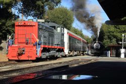 SP 1195, freshly repainted about 18 months ago, will lead our ride for the day - an articulated SP coach set (SP 2473-2474).