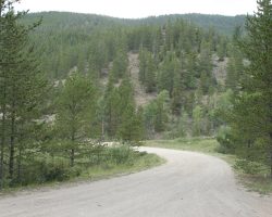 This is part of the old loop at Quartz, where the line crosses over North Quartz Creek and heads back up the north side of the Middle Quartz valley. The old DSP&P right of way is now the road, for the most part.