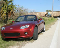 Ah, it's nice to escape from cold Colorado to warmer weather...