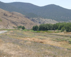 This is the west end of the Salida yard, from the County 175 road crossing - still no sign of anything on the rails
