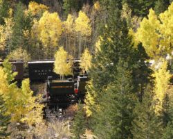 The butt-end of #12 goes zipping past a break in the trees on its way downhill at Hall Tunnel Yard