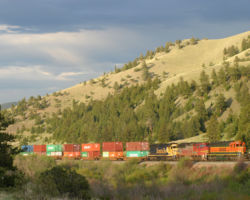 I couldn't actually decide between 16 and 17, so I just put in both.