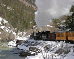 Following the eastern bank of the Animas River below Tank Creek.