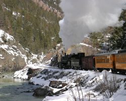 Following the eastern bank of the Animas River below Tank Creek.