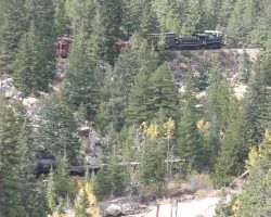 #40 backs down the hill with a coach, an open gon, a converted cattle car, and two cabooses.