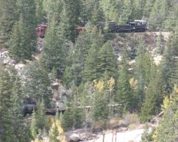 #40 backs down the hill with a coach, an open gon, a converted cattle car, and two cabooses.