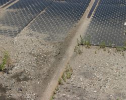 Finally, success! See all that fresh dirt displaced? Paul's report was right - a hyrail or similar went through here recently. This is the southernmost (east) crossing in Buena Vista, CO.