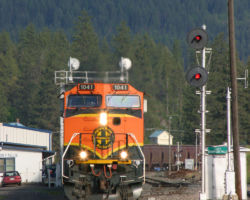 BNSF 1041 east with an empty unit grain train at Thompson Falls, MT.