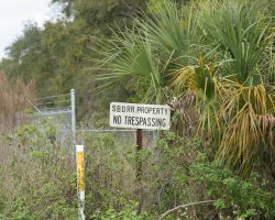 Signs of the past remain - somewhat literally. Here's a Seaboard "No Trespassing" sign at Bradley Junction