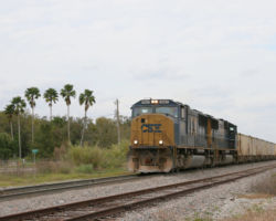 Even with bad light, palm trees just aren't a photographic prop I get to use that much...