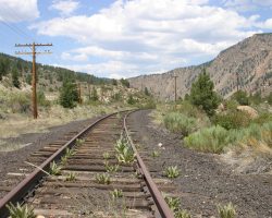 At this crossing near Americus, there's not enough dirt to provide evidence. The rails do seem to show a bit of wear, though, so we're still on the right track