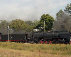 Splitting the signals on the west side of the Colona crossing (DJH Photo)