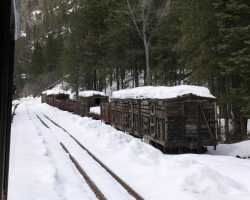 At Tacoma, one of the tracks holds a rag-tag collection of old freight cars, most of which apparently will be sold soon. Most aren't in good shape.