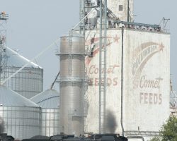 After a small delay for pickups and dropoffs in Geneseo, the train was underway again. Here it is by the Comet Feeds elevator on the east edge of Geneseo. I understand I should thank Tim for the nice, weed-free shot...