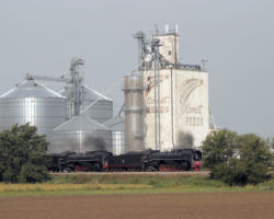 A little wider view of the same shot (DJH Photo)