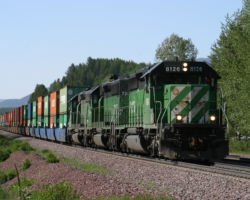 Catching the three green wonders again at Coram.