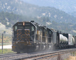 Barking loudly, the three are pushing uphill, but I don't think quite at full throttle yet