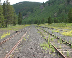 Looking uphill towards the tunnel at Pando - no sign of any vehicles through here
