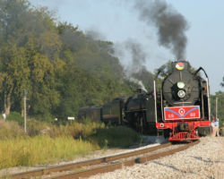 And a little further through...