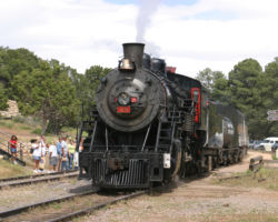 Backing through the horde of tourists...