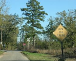 Honest, the sign made me do it!