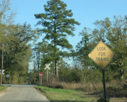 Honest, the sign made me do it!