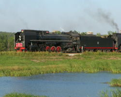 A closer shot of just 6988 and the small pond