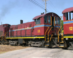 A&M T-6 18 at Springdale