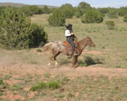 Probably not a railfan on horseback...