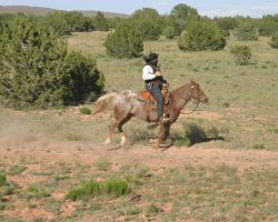 Probably not a railfan on horseback...