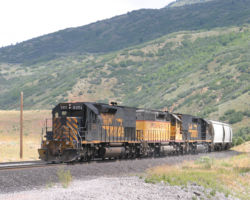 Once again on the back are our Grandes