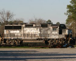 As I mentioned, NS is also a player in Cordele. I didn't actually catch any moving trains, but I did find this GP59 sitting on the south end of town.