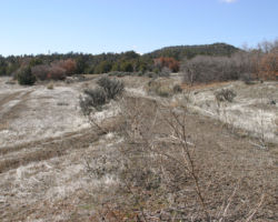 The grade seen winding through the brush just east of the Piedra River bridge.