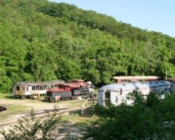 A look at the yard out back