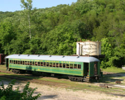 Looking west across the yard