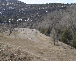 West of Pagosa Junction, the grade can be seen following the river where the road didn't bulldoze it under.