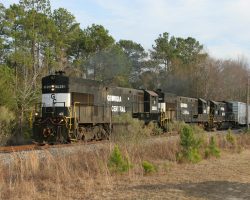 The few places with wide open views were often obscured with weeds, poles, etc. This is a crossing near Rockledge, near where the line crosses I-16.
