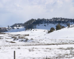 South of the US 64 - US 84 junction at Biggs, one can see the old grade snaking through the snow.