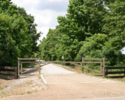 The line east of Lexa to Helena survives as the AKMD, but the line south wasn't so lucky... it's now a trail