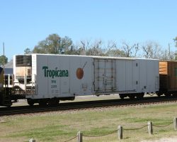 Here's a better look at one of the Tropicana cars. These are used to haul fresh juice out of Florida plants.