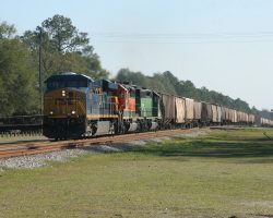 It's now nearly 1515h, and I really need to be heading for the airport in Jacksonville to catch my flight home. I decide to stay for just one more, though. Here it is, the last train of my stop at Folkston, lead by CSXT 5396 and two trailing BNSF SD40-2s.