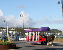 Amby pulls DBHT car #43, a roofed toastrack-style car built in 1907.