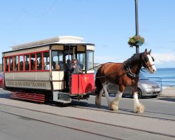 Douglas Bay car #1, a 1913 enclosed saloon style car, is pulled along southbound by an unknown horse.