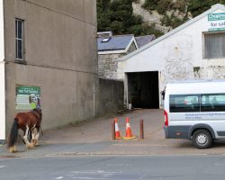 The horses know the way back to the stable and just seem to go on their own. The stable yard sits back from the promenade's building fronts, and looks decidedly out of place.