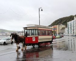 Rain or shine, the trams run. My second day on the island dawned to torrents of rain, high winds, and at times heavy seas. But, I was only here for a few days, so I had to make the best of it.